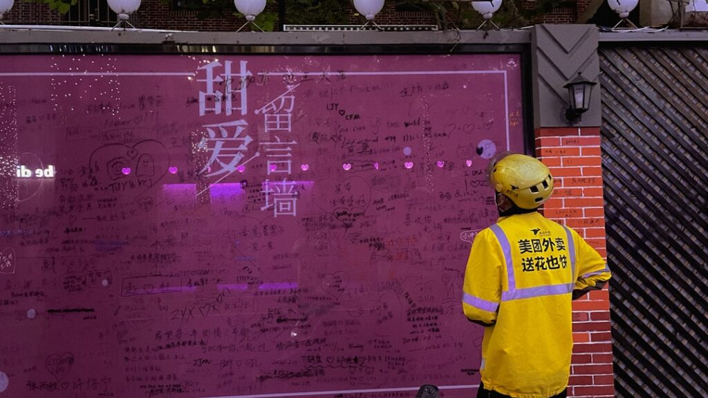 a person wearing a garment